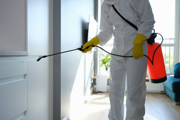 Mold Removal and Inspection in Olympia Heights, FL